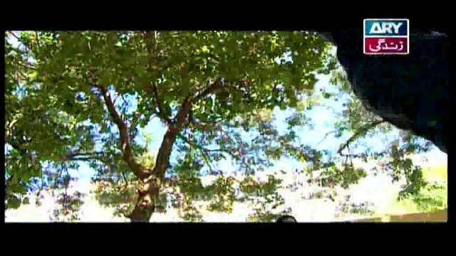 Mehmoodabad Ki Malkain Episode 37 & 38 on ARY Zindagi in High Quality 24th April 2019