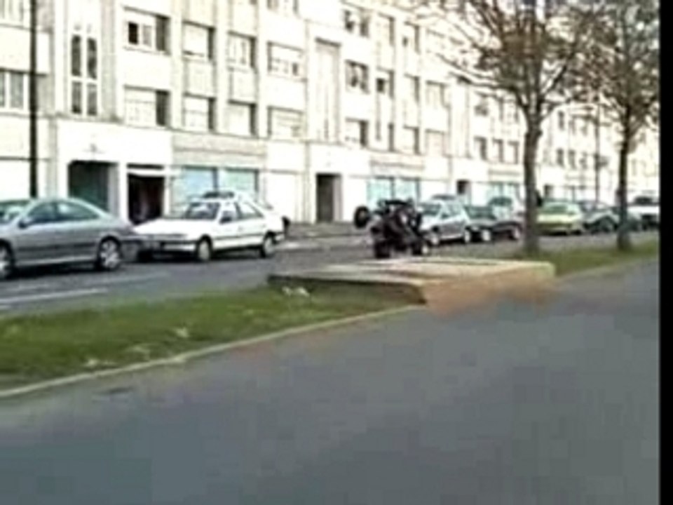 Ruff rider 2007