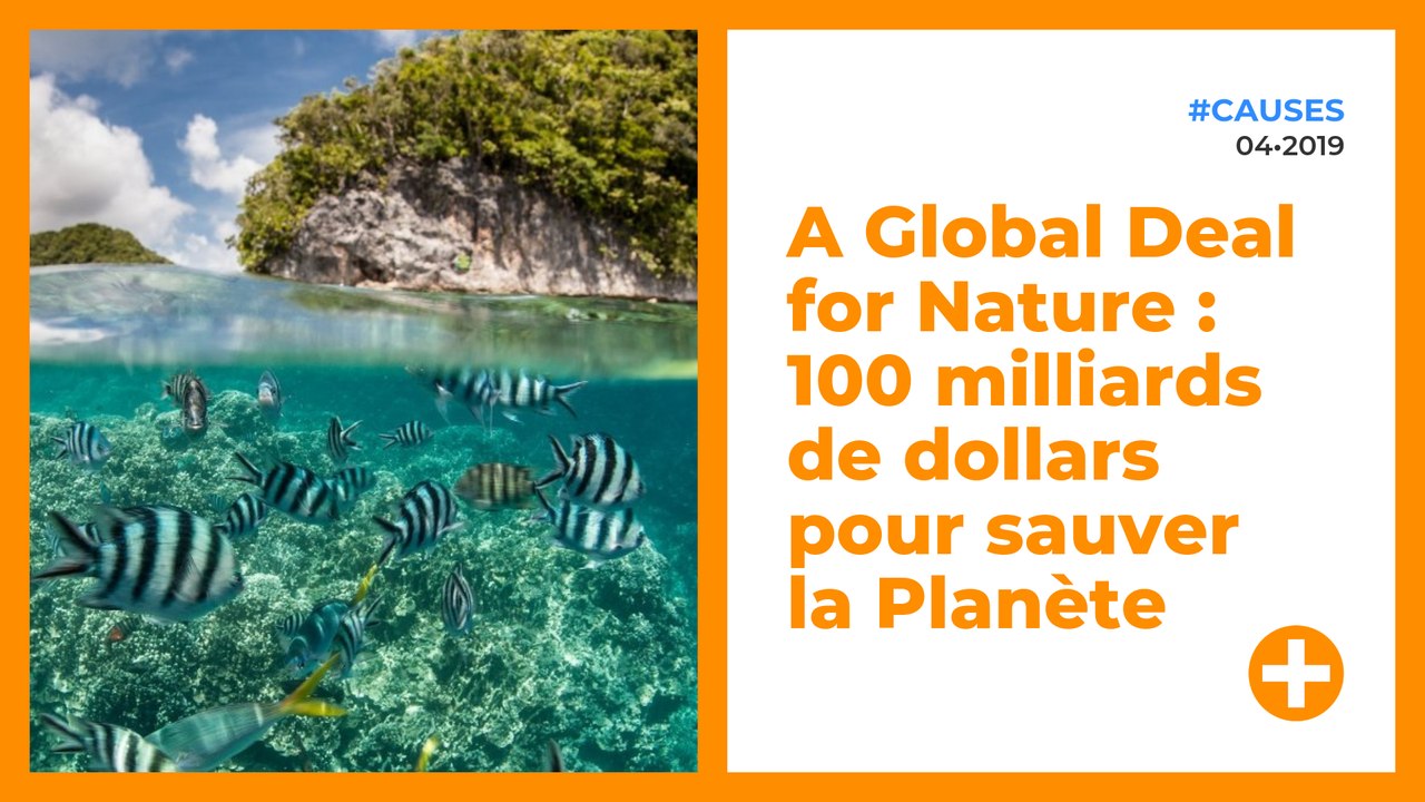 A Global Deal for Nature : 100 milliards de dollars pour sauver la Planète