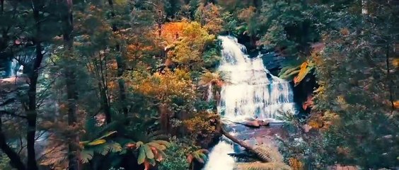 Showreel, Video produced by The Cassette Group