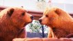 PLANET ZOO Bande Annonce