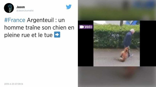 Val-d’Oise. Un homme interpellé après avoir traîné et tué son chien en pleine rue