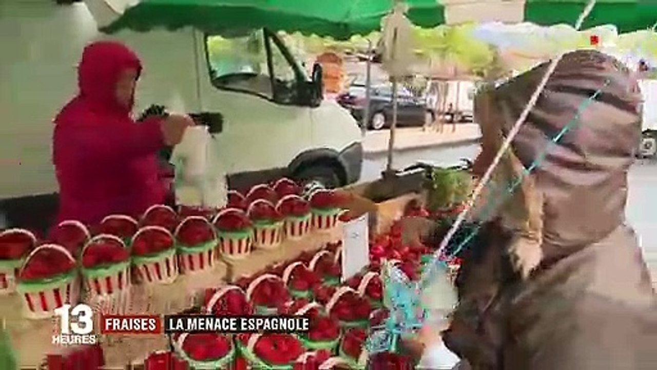 Consommation : la fraise de Carpentras menacée par sa cousine espagnole