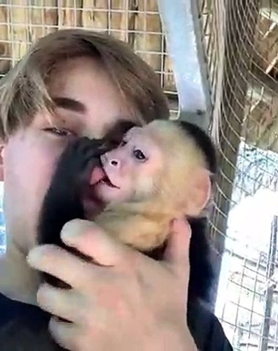 Ce bébé singe et son maître sont très complices...