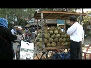 Coconut water to drink, in Pune