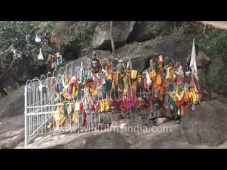 Thundering crowd for Thaipusam at Palani