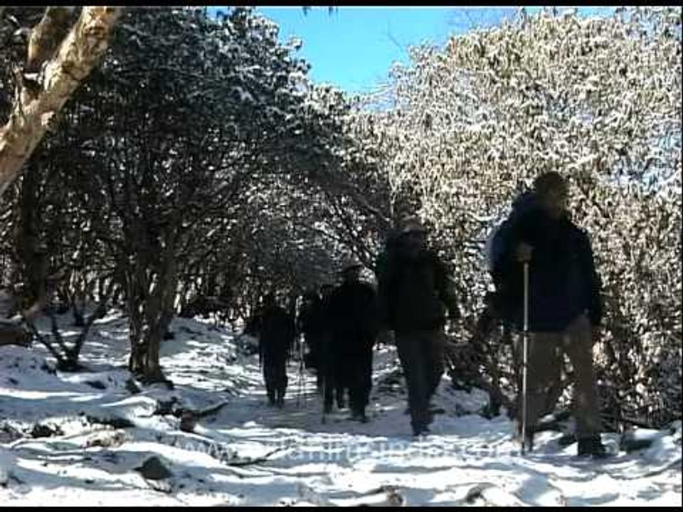 Trekkers passing by
