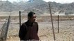 Zanskari Equine Breeding Farm, Leh, Ladakh