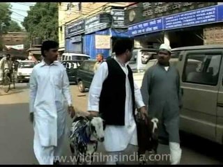 Bringing the sacrifice home!!