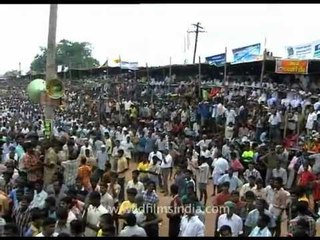 All these people come here to get hit by a Bull???