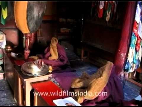 Prayer room for monks inside Dhankar Gompa
