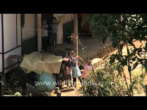 Kids playing in Reiek village, Mizoram