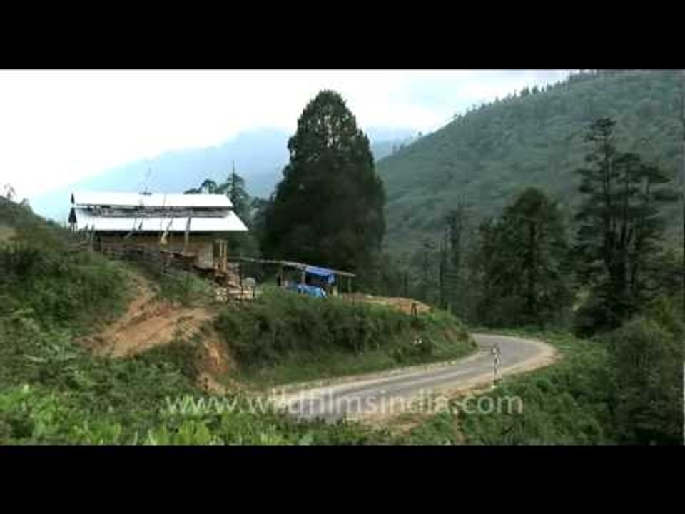 Driving from Thimphu to Dochula pass