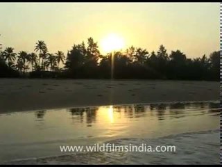 The mystical beaches of Goa