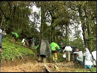 Pilgrims take slanting steps towards Roopkund Lake!