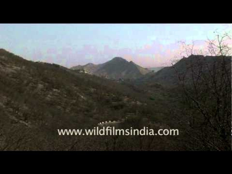 Pink city - Jaipur