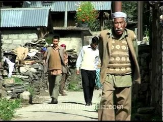 Bhotia village of Baghori in Garhwal, Uttaranchal