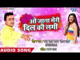 O Jana Meri Dil Ki Lagi - Bharat Lal Yadav - Bhojpuri Hit Songs 2018 New