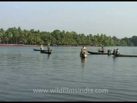 Sailing on a small boat around the backwaters of Kerala
