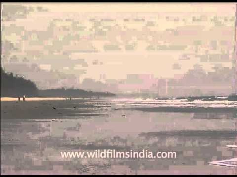 This quaint Goa beach will spellbind you