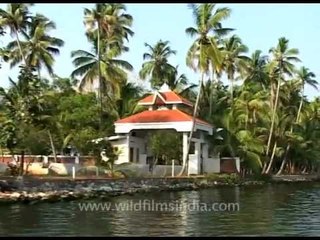 Amazing view of Kerala backwaters!