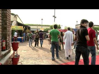 Delhiites celebrate the mango at a festival to the fruit!