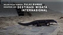 Selain Pulau Komodo, Pulau Biawak Disiapkan Jadi Destinasi Wisata Internasional