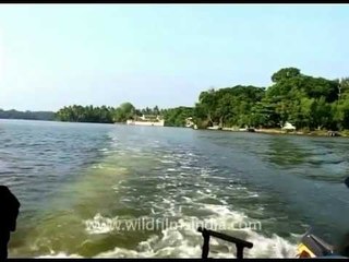 A boat ride with a Keralite sailor, Kerala