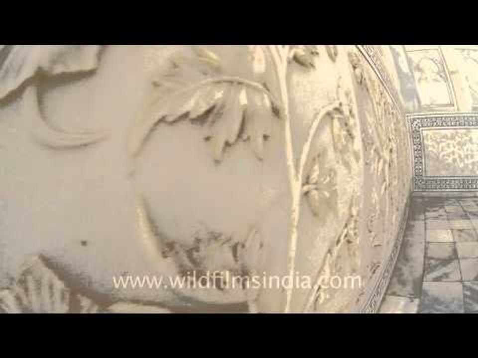 Fish eye view of the great Taj Mahal!