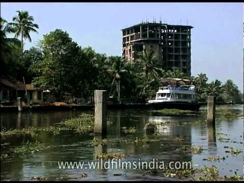 Cruise along Kochi backwaters