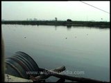 Crossing the river, India