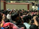 Pilgrims show a frenzy of devotion at Sabarimala