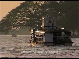Explore the backwaters of Kerala by ferry!