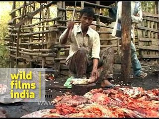 Cow meat for sale in largely Hindu India!