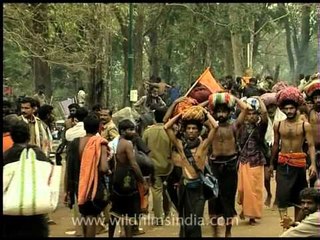 Lord Ayappans' people gather with offerings on head
