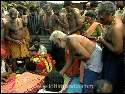 Sabarimala pilgrims ask for blessings!