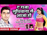 Ae Raja Ludhiyana Se Aaja Ho - Saiya Puwara Pa Sutela - Vivek Kumar Tripathi - Bhojpuri Hit Songs