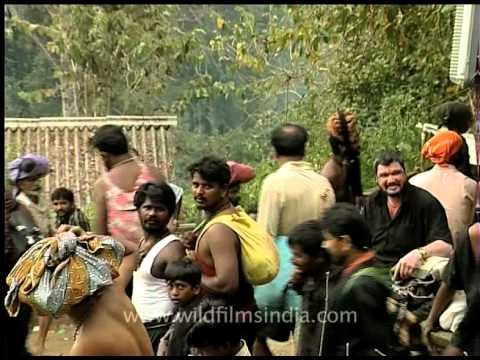 Droves of people at the Sabarimala pilgrim