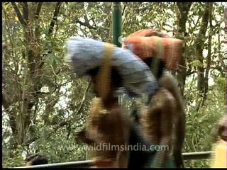 Sabarimala devotees with offerings everywhere!