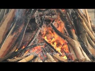 Smoke rises from funeral pyres in India