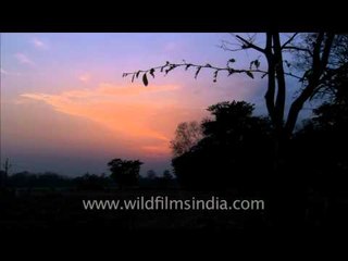 Sunset time lapse in Corbett National Park