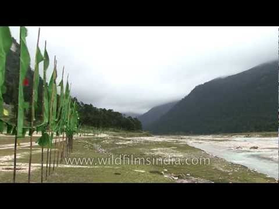 Yumthang river, Sikkim