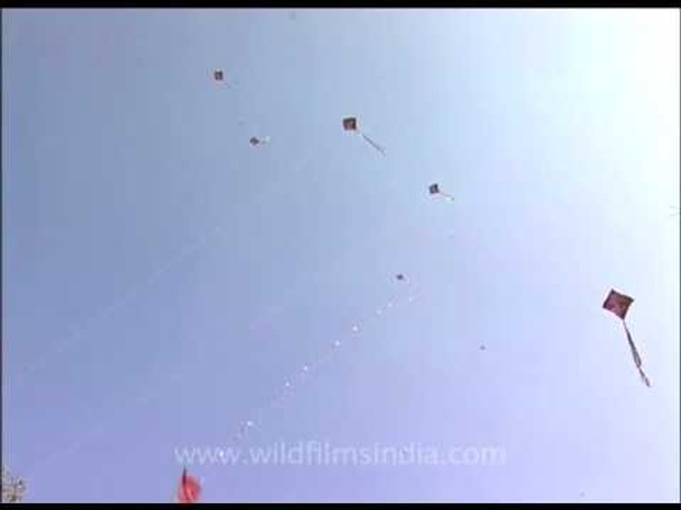Kites galore at the Kite Festival in New Delhi, India