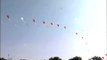 Colourful kites in the skies above India gate!