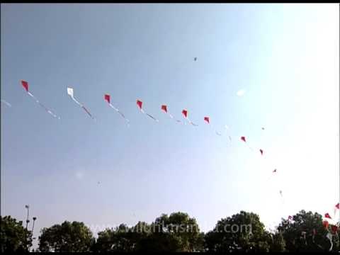 Colourful kites in the skies above India gate!