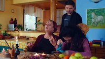 Fructul Oprit sezonul 2 episodul 42