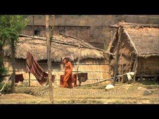 Download Video: Thatched huts of villagers near Corbett