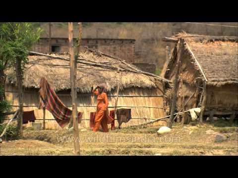 Thatched huts of villagers near Corbett