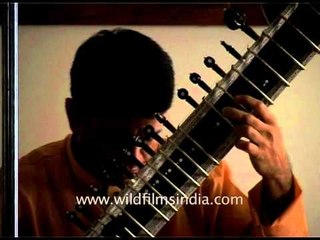 Sitar player pays tribute to the mother on her birthday at Aurobindo Ashram