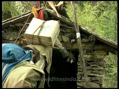 Trekkers to Dodital lake pass through middle Himalayan forests